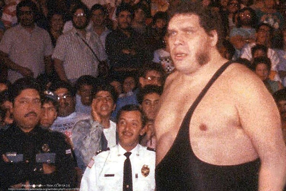 André the Giant : biographie complète