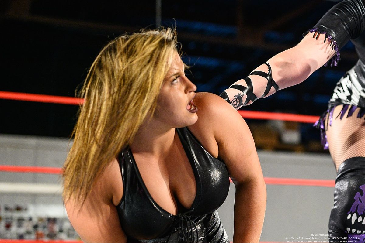 Les fans de la WWE pourraient devoir des excuses à Triple H s'il joue ce jeu NXT avant WrestleMania