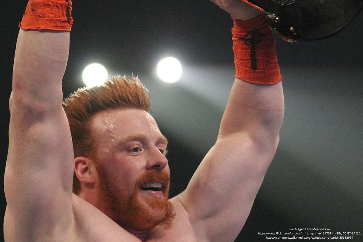 Triple H félicite Sheamus pour son exploit majeur dans le catch : un moment fort de la WWE