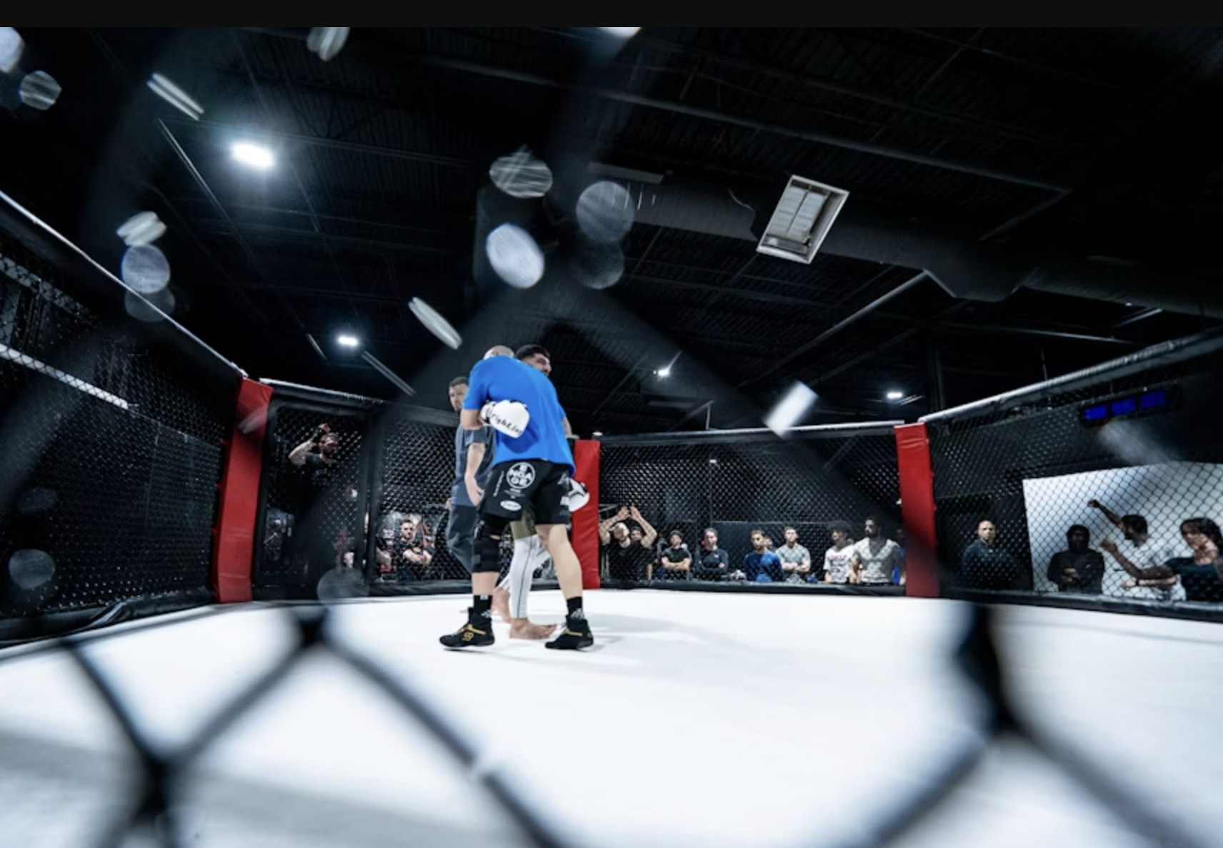 WWE, AEW, NXT : le catch continue de s’imposer dans le paysage sportif français